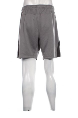 Ανδρικό κοντό παντελόνι Russell, Μέγεθος XL, Χρώμα Γκρί, Τιμή 6,96 €
