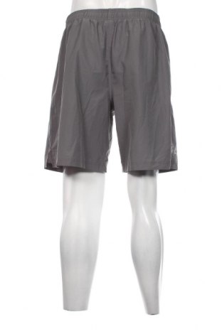 Herren Shorts Under Armour, Größe L, Farbe Grau, Preis € 23,66