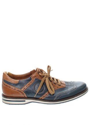 Ανδρικά παπούτσια, Μέγεθος 42, Χρώμα Πολύχρωμο, Τιμή 21,90 €