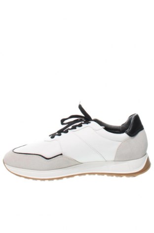 Ανδρικά παπούτσια Joop!, Μέγεθος 44, Χρώμα Πολύχρωμο, Τιμή 181,40 €