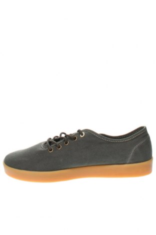 Herrenschuhe Napapijri, Größe 42, Farbe Grün, Preis 73,04 €