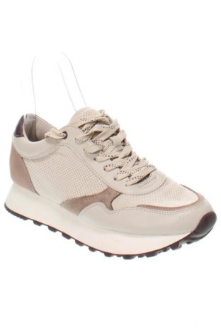 Ανδρικά παπούτσια Parfois, Μέγεθος 41, Χρώμα Πολύχρωμο, Τιμή 16,71 €