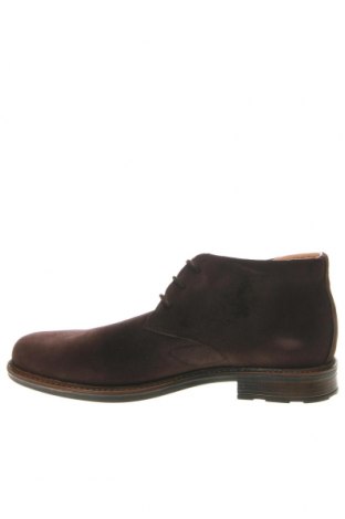 Мъжки обувки Segarra, Размер 46, Цвят Кафяв, Цена 156,00 лв.