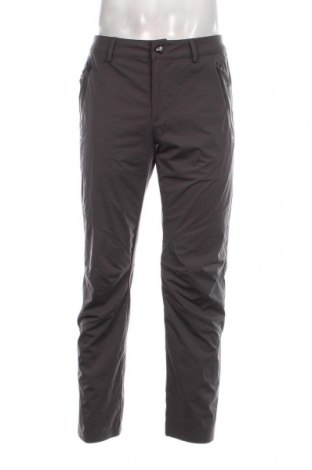 Ανδρικό παντελόνι, Μέγεθος L, Χρώμα Γκρί, Τιμή 10,85 €