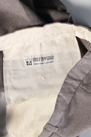 Ανδρικό παντελόνι, Μέγεθος M, Χρώμα Γκρί, Τιμή 7,12 €