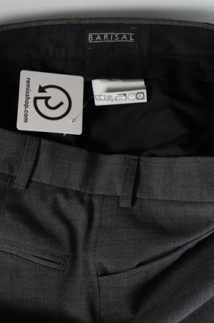 Herrenhose Barisal, Größe M, Farbe Grau, Preis 4,04 €