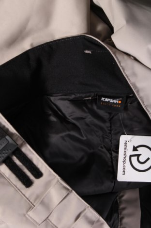 Ανδρικό παντελόνι Icepeak, Μέγεθος XL, Χρώμα  Μπέζ, Τιμή 36,08 €
