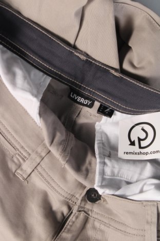 Ανδρικό παντελόνι Livergy, Μέγεθος L, Χρώμα Γκρί, Τιμή 8,46 €