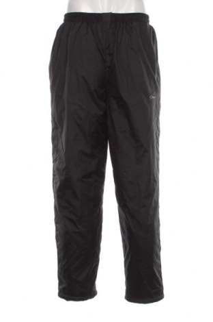 Ανδρικό παντελόνι για χειμερινά σπορ, Μέγεθος L, Χρώμα Μαύρο, Τιμή 19,56 €