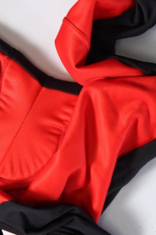 Pánské kalhoty pro zimní sporty , Velikost XL, Barva Červená, Cena  742,00 Kč