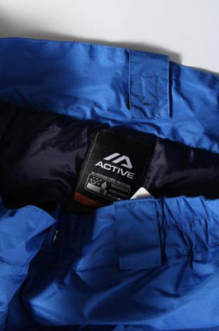 Ανδρικό παντελόνι για χειμερινά σπορ Active, Μέγεθος XL, Χρώμα Μπλέ, Τιμή 25,98 €
