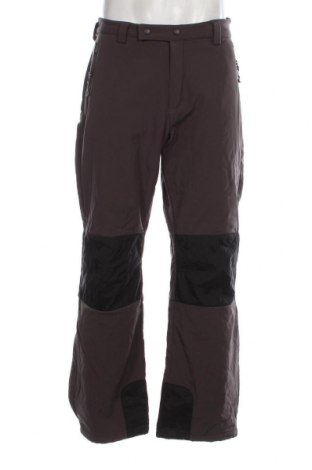 Herrenhose für Wintersport Crane, Größe XL, Farbe Grau, Preis 29,23 €