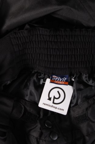 Ανδρικό παντελόνι για χειμερινά σπορ Crivit, Μέγεθος L, Χρώμα Μαύρο, Τιμή 27,37 €