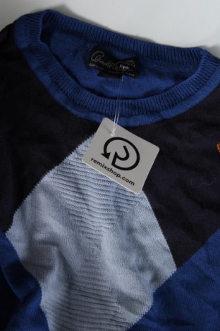 Herrenpullover Cernold Palmer, Größe L, Farbe Blau, Preis € 10,91