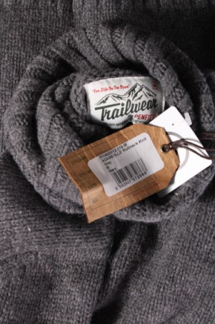 Herrenpullover Penfield, Größe M, Farbe Grau, Preis € 77,94