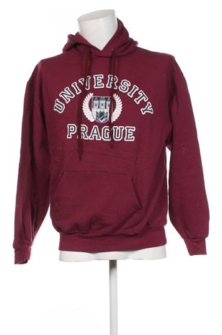 Herren Sweatshirt Fruit Of The Loom, Größe L, Farbe Rosa, Preis € 13,12