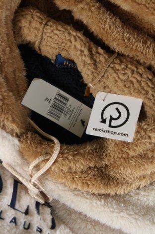 Ανδρικό φούτερ Polo By Ralph Lauren, Μέγεθος XL, Χρώμα Πολύχρωμο, Τιμή 136,08 €