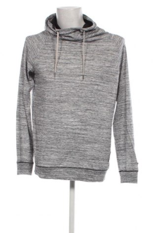 Herren Sweatshirt Ragwear, Größe L, Farbe Grau, Preis € 14,27