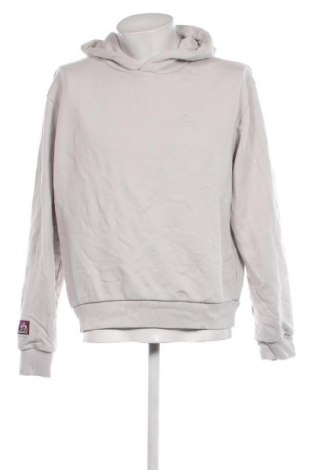 Herren Sweatshirt Snipes, Größe L, Farbe Grau, Preis 17,12 €