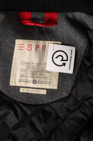 Ανδρικά παλτό Esprit, Μέγεθος L, Χρώμα Γκρί, Τιμή 25,57 €