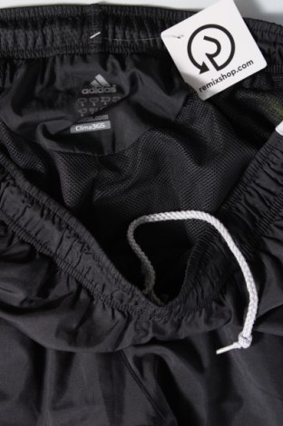 Herren Sporthose Adidas, Größe L, Farbe Grau, Preis 24,25 €