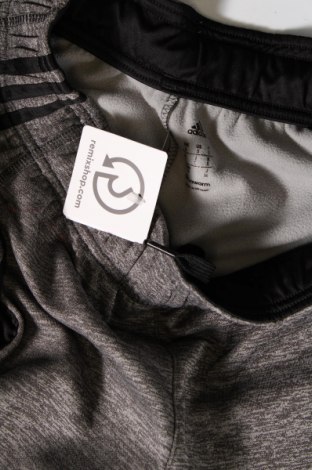 Ανδρικό αθλητικό παντελόνι Adidas, Μέγεθος S, Χρώμα Γκρί, Τιμή 22,82 €