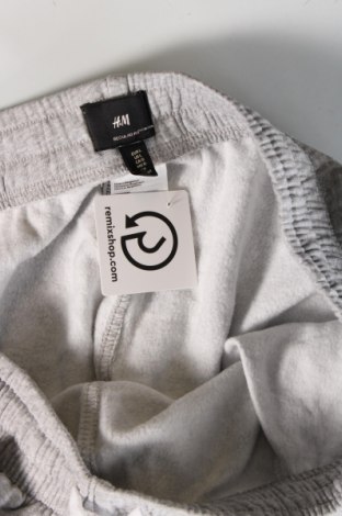 Herren Sporthose H&M, Größe L, Farbe Grau, Preis 20,18 €
