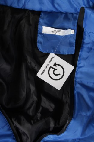 Ανδρικό μπουφάν, Μέγεθος XXL, Χρώμα Μπλέ, Τιμή 16,33 €