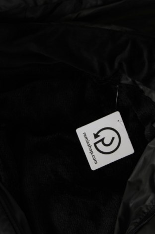 Ανδρικό μπουφάν, Μέγεθος XL, Χρώμα Γκρί, Τιμή 19,73 €