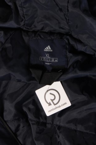 Ανδρικό μπουφάν Adidas, Μέγεθος XL, Χρώμα Μπλέ, Τιμή 24,00 €