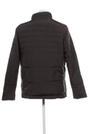 Herrenjacke Bexleys, Größe XL, Farbe Grün, Preis € 25,49