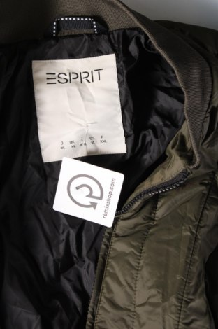 Ανδρικό μπουφάν Esprit, Μέγεθος XL, Χρώμα Πράσινο, Τιμή 21,87 €