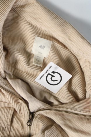 Pánska bunda  H&M L.O.G.G., Veľkosť XL, Farba Béžová, Cena  12,25 €