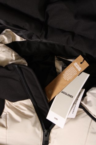 Ανδρικό μπουφάν Jack & Jones, Μέγεθος L, Χρώμα Πολύχρωμο, Τιμή 45,31 €