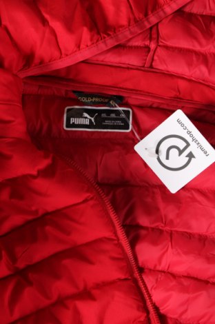 Pánska bunda  PUMA, Veľkosť 4XL, Farba Červená, Cena  46,49 €