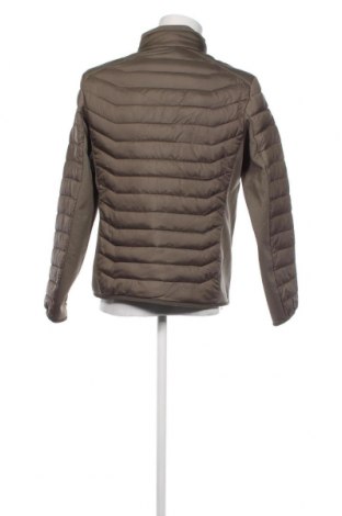 Herrenjacke Tom Tailor, Größe M, Farbe Grün, Preis 23,66 €