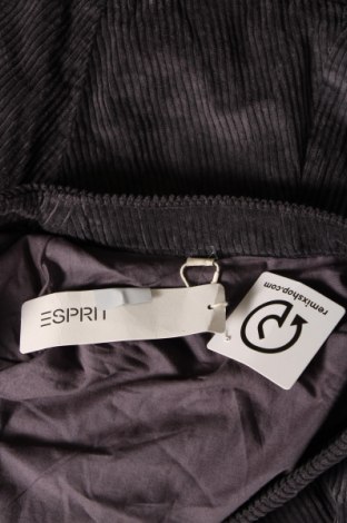 Φούστα Esprit, Μέγεθος M, Χρώμα Γκρί, Τιμή 11,51 €