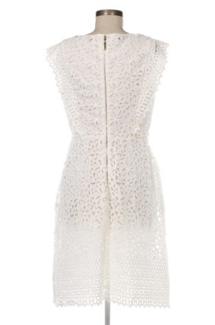 Kleid Apart, Größe M, Farbe Weiß, Preis € 67,85