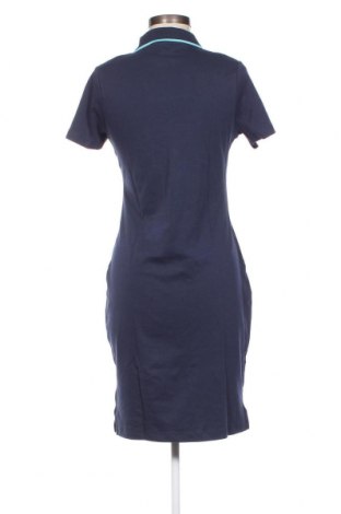 Kleid Bpc Bonprix Collection, Größe S, Farbe Blau, Preis 14,91 €