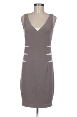 Φόρεμα D.Exterior, Μέγεθος XL, Χρώμα Γκρί, Τιμή 30,70 €