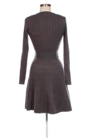 Kleid Guess, Größe S, Farbe Grau, Preis € 112,37