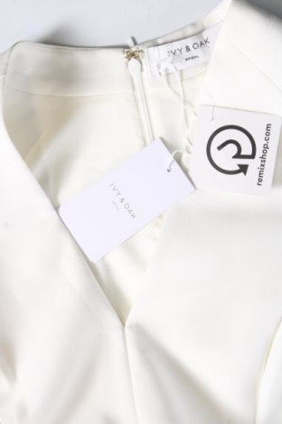 Kleid Ivy & Oak, Größe M, Farbe Weiß, Preis 108,71 €