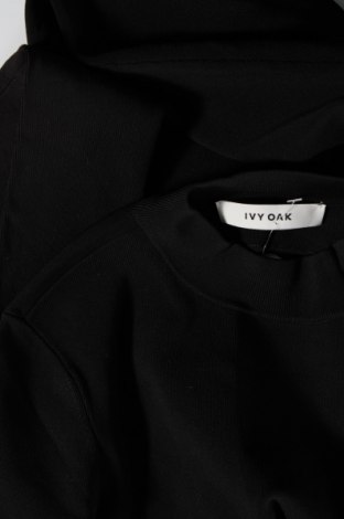 Φόρεμα Ivy & Oak, Μέγεθος S, Χρώμα Μαύρο, Τιμή 71,65 €