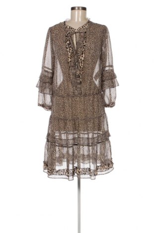 Kleid Marc Cain, Größe L, Farbe Mehrfarbig, Preis 78,60 €