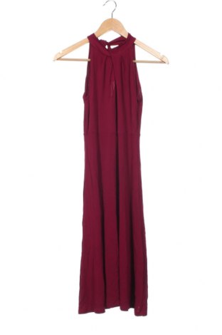 Kleid Massimo Dutti, Größe XS, Farbe Lila, Preis 29,36 €