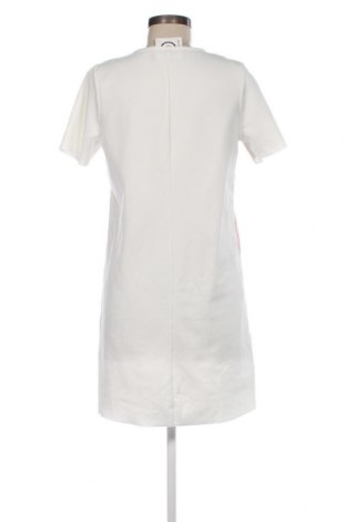 Kleid Zara, Größe M, Farbe Weiß, Preis 8,29 €