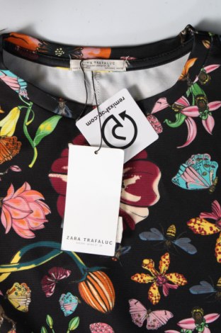 Kleid Zara Trafaluc, Größe L, Farbe Mehrfarbig, Preis € 29,83