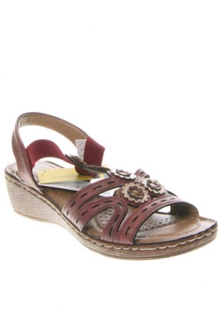 Sandalen Avenue, Größe 36, Farbe Rot, Preis € 11,49