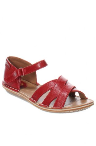 Sandalen Clarks, Größe 37, Farbe Rot, Preis 72,99 €