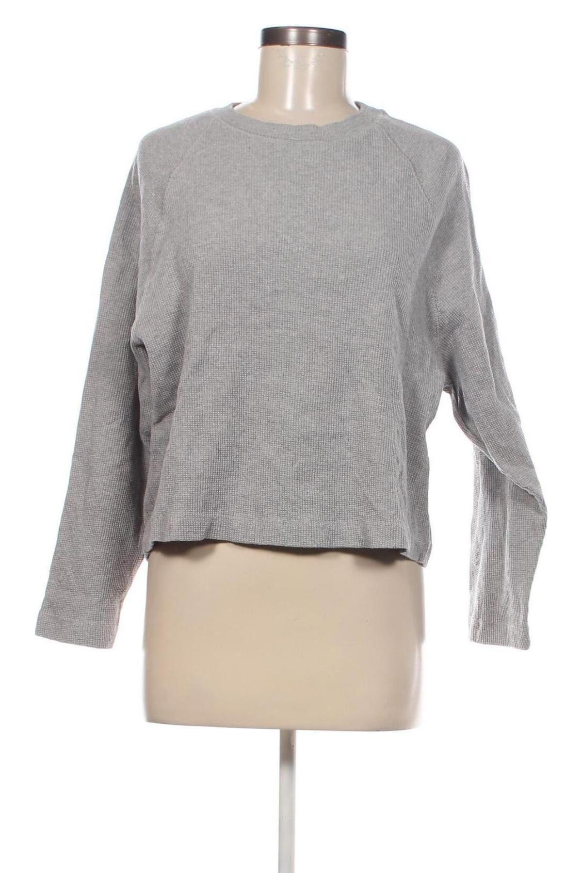 Γυναικεία μπλούζα Basic Apparel, Μέγεθος XS, Χρώμα Γκρί, Τιμή 2,82 €